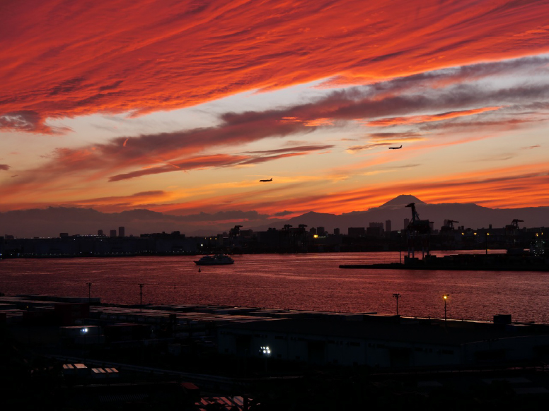 海の森公園 フォトウォーク 〜海の森から見る都会の夕景と夜の灯り〜画像
