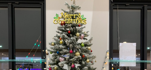 東京臨海高速鉄道写真