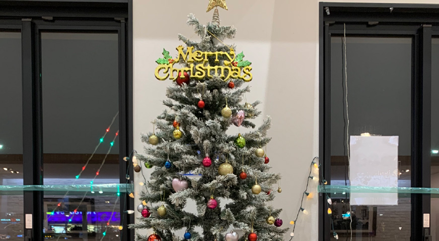 東京臨海高速鉄道写真